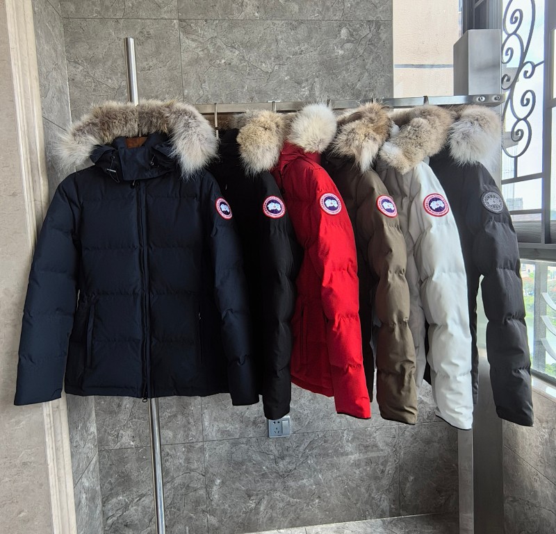 Canada Goose